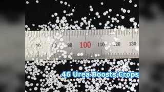 Impulsar los cultivos: fertilizante con 46% de urea para agricultores