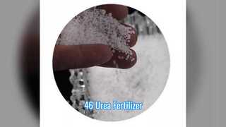 Fertilizante de urea al 46% CAS 57 13 6 Uso industrial