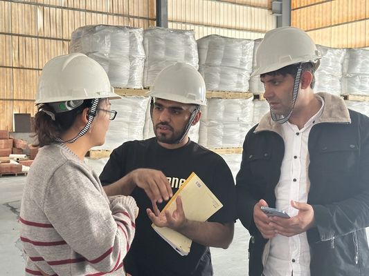 Tio2 tipo universal dióxido de titanio SR-2377 del rutilo del sulfato para las pinturas Cas 13463-67-7 de la cartilla
